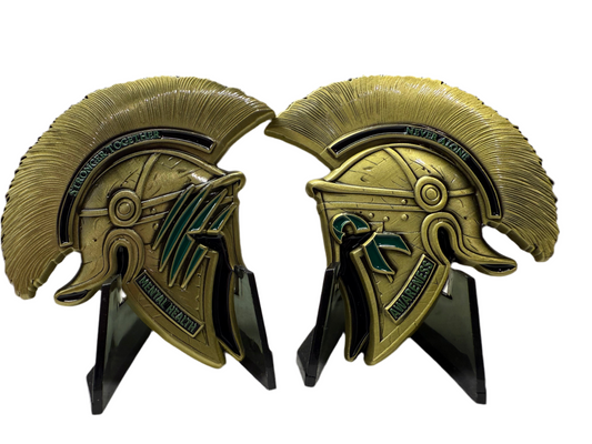 "Man in the arena" challenge coin